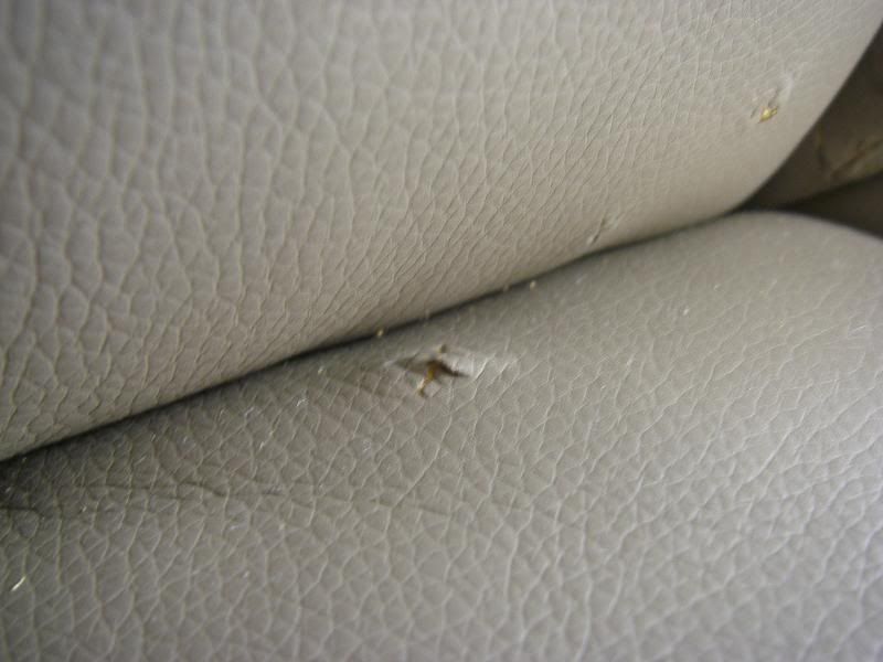 ghế da An Dương, mua thì mắc, hư thì nhanh - 2