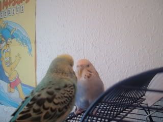 Aww.jpg