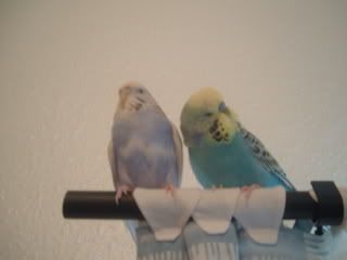 BaileyandSky2.jpg