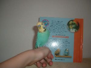 Baileypose-1.jpg