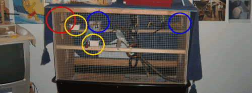 CagewithCircels.gif