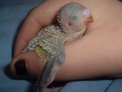 Cocosleeping2-1.jpg