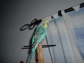 DSCF0557.jpg