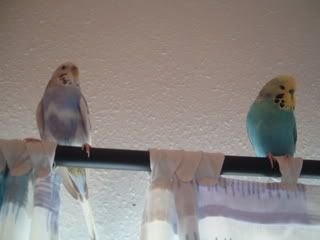 DSCF1361.jpg