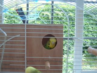 DSCF1375.jpg