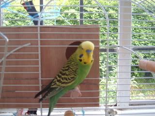 DSCF1376.jpg
