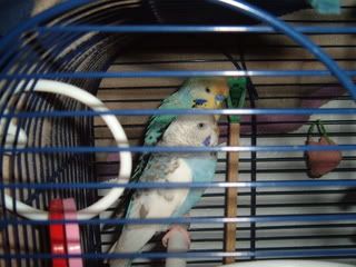 DSCF1430.jpg