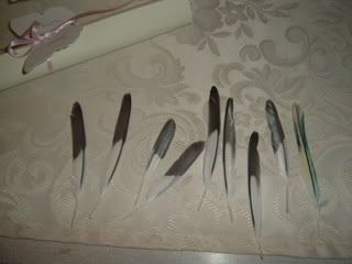 DSCF1485.jpg