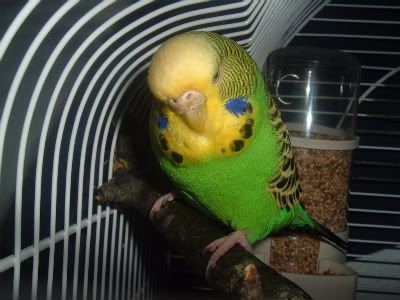 DSCF1873-1.jpg