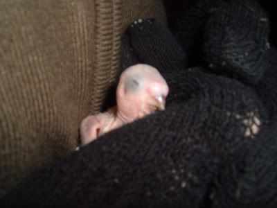 Oldestbaby1-1.jpg