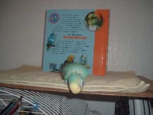 Yummtowel-1.jpg