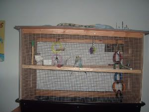 cagefull.jpg