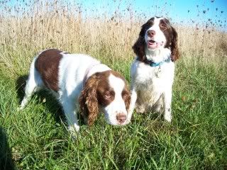 moms074.jpg?1455719130801&1455719131185&