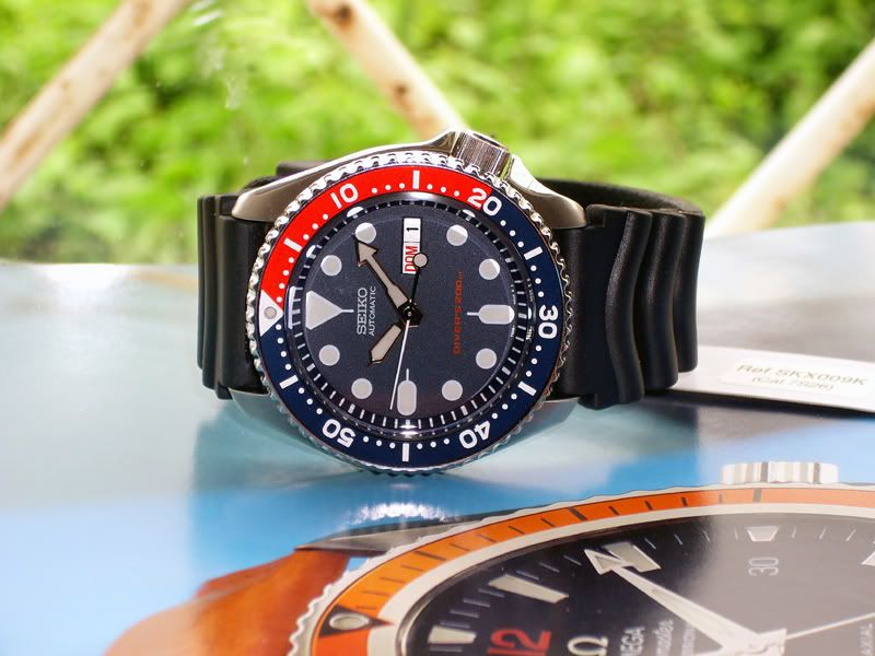 SKX009-01b.jpg