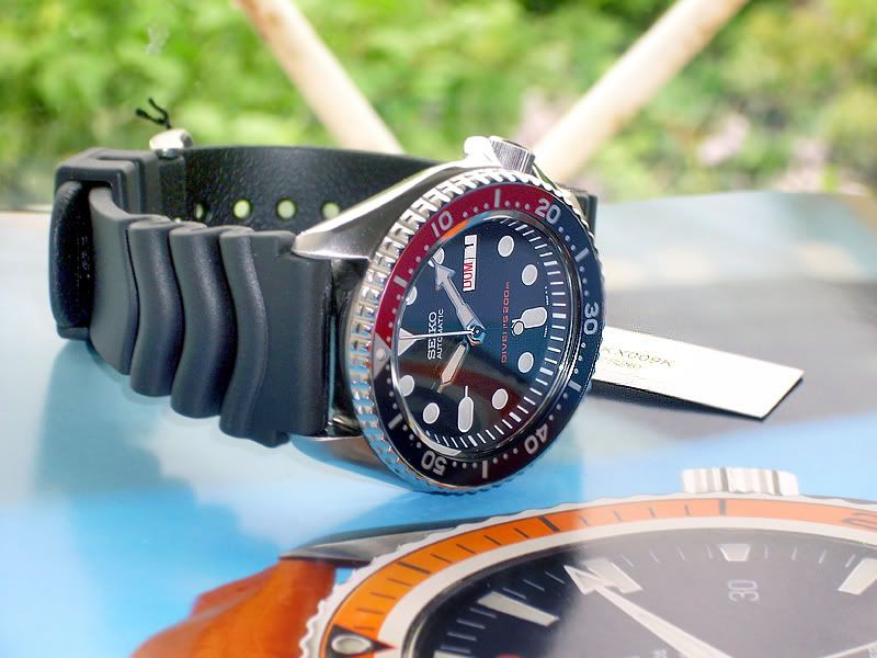 SKX009-02b.jpg