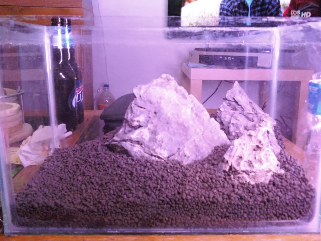 Please Judge My Iwagumi 2 5 Gallon Rock Layout Aquatic Plant Forum