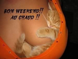 bon week-end Pictures, Images and Photos