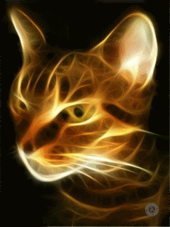 animated cat photo: Cat Glow_Cat_byAshley.gif
