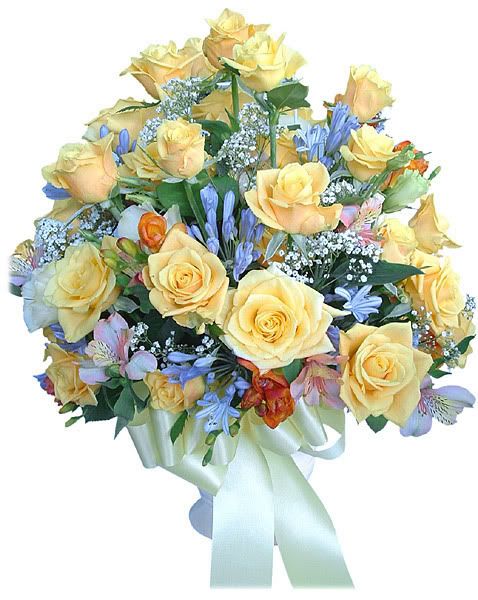 flv158a1fs8.jpg picture by Crismava