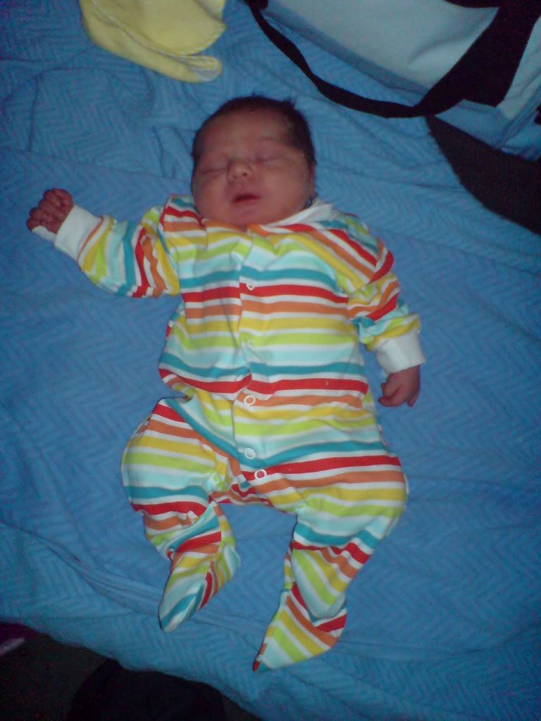 DSC00335.jpg