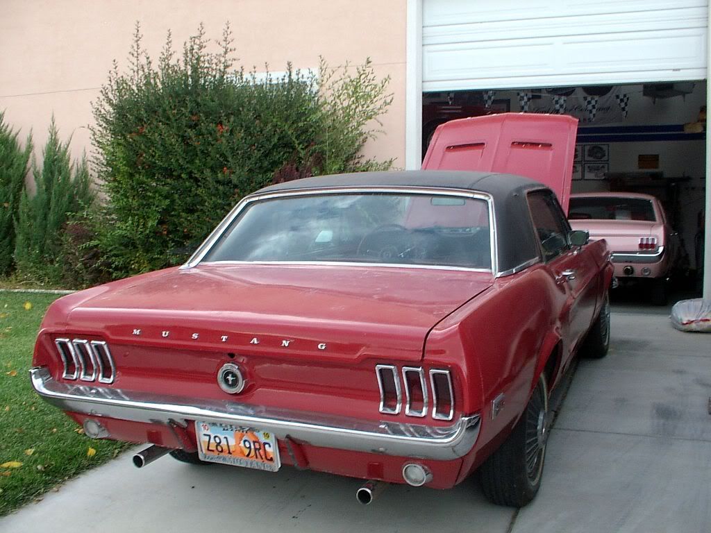 IMGP0095.jpg