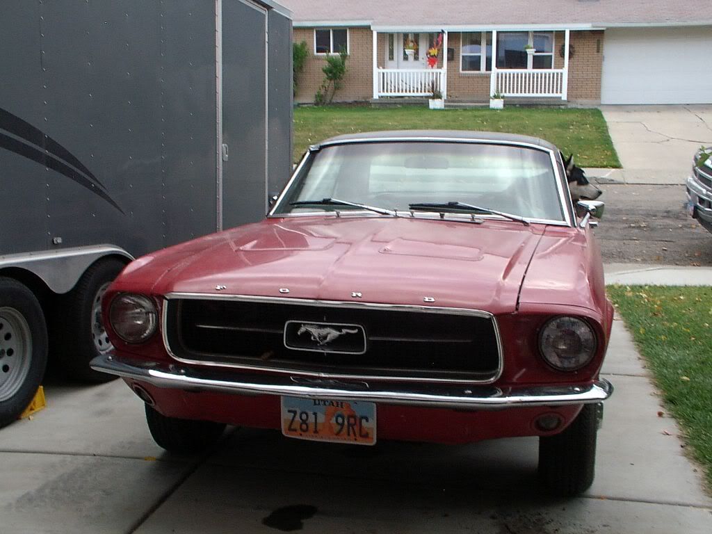 IMGP0102.jpg