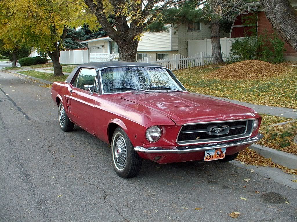 IMGP0103.jpg