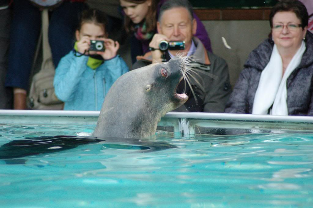 Эльзас с ребенком - конец октября 2013 года