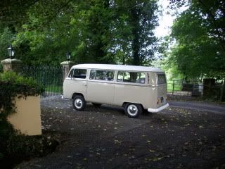 DSCI0248brown230eron.jpg