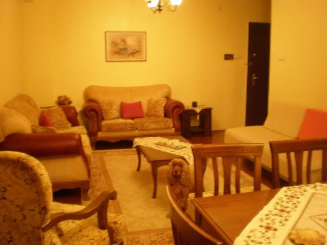 PC060255.jpg