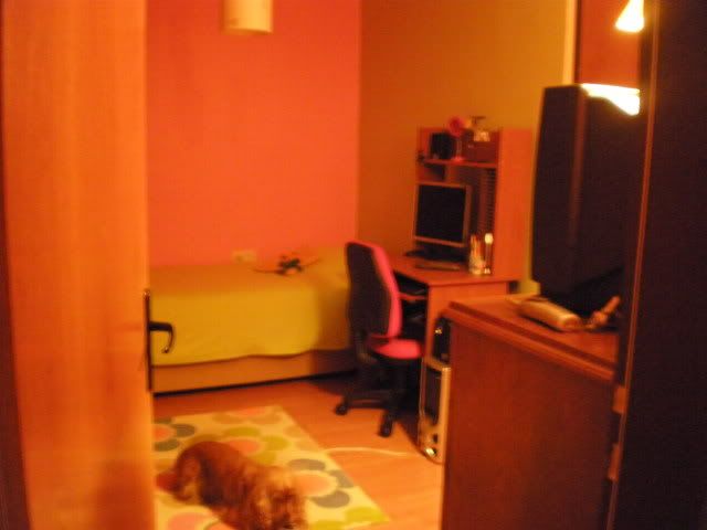 PC060269.jpg