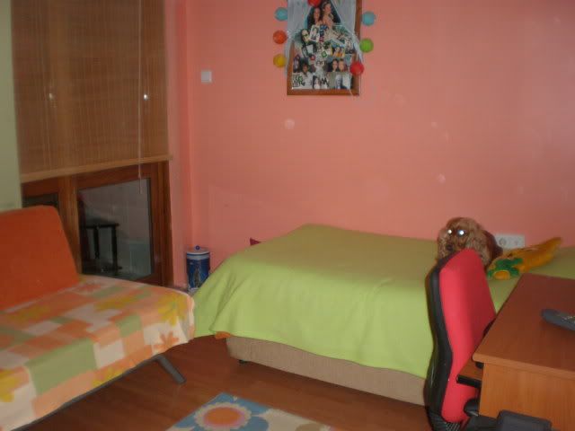 PC060271.jpg