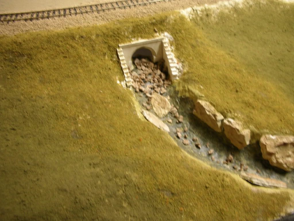 DSCN1142.jpg