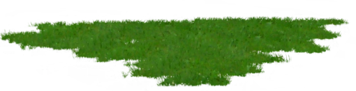 grass.png picture by MistressRose_album