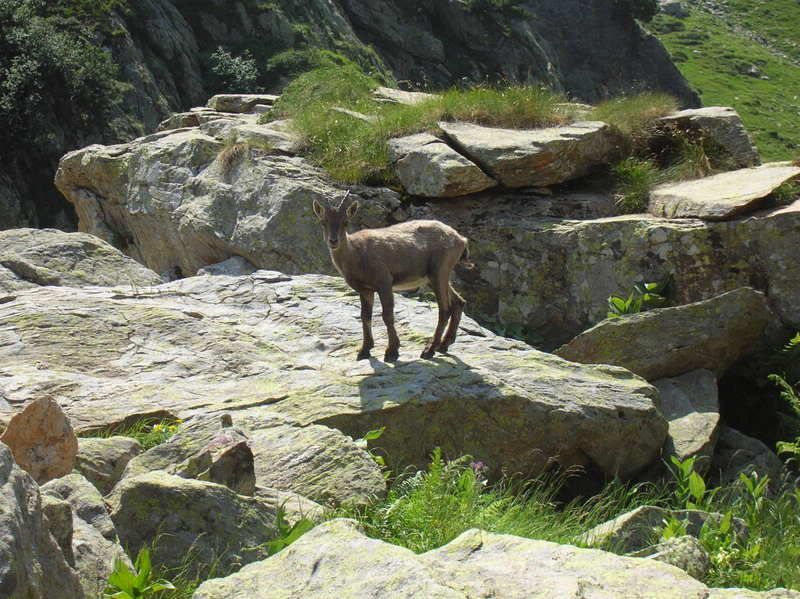 RIFUGI039.jpg