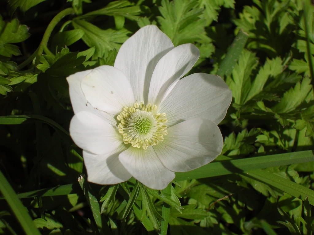 DSCN4703.jpg
