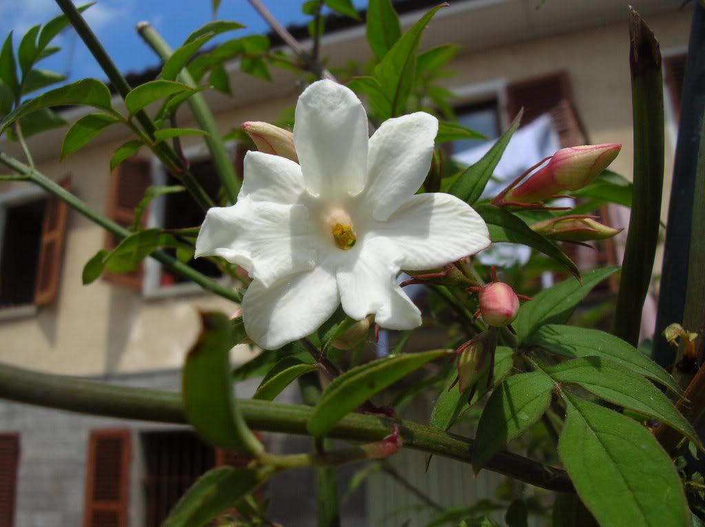 DSCN4879.jpg