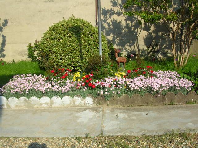 DSCN5021.jpg