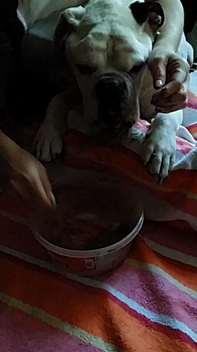 20140112_135302.gif