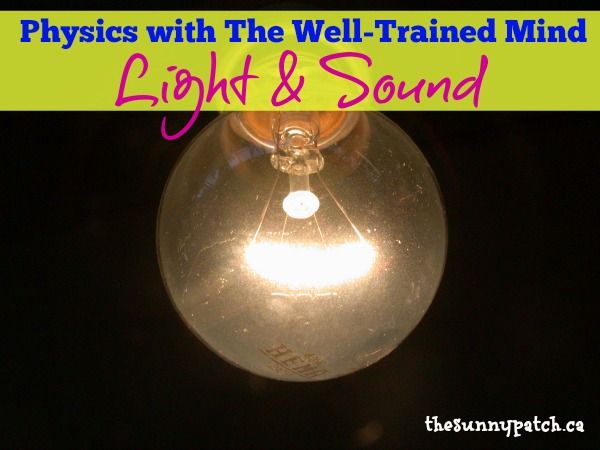 A look at how we are covering physics topics with resources recommended in The Well-Trained Mind