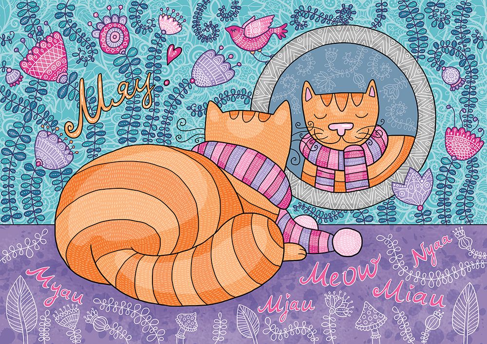  photo 14-feb-cat1.jpg