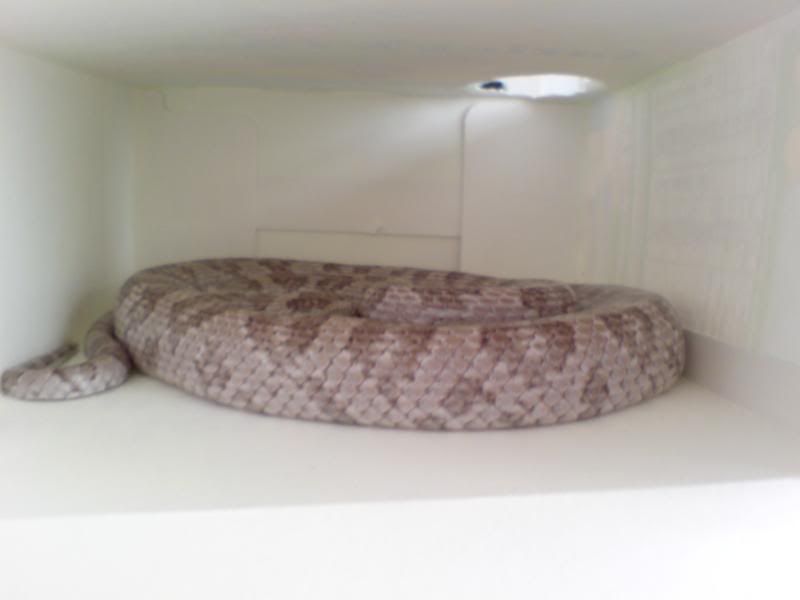DSC00042-1.jpg
