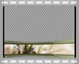 Wedding backgrounds video loops and motion clips for wedding videos and 