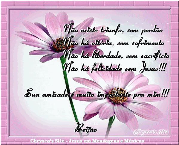 gerbera_rosa-1.gif picture by chryscasite2007