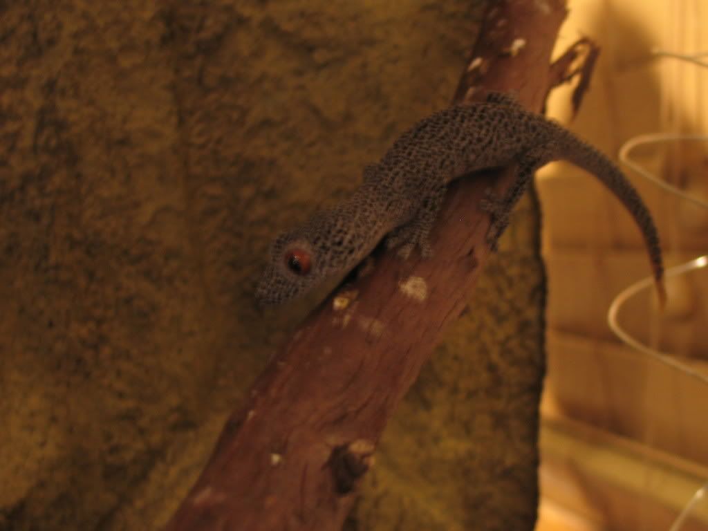 IMG_4947.jpg