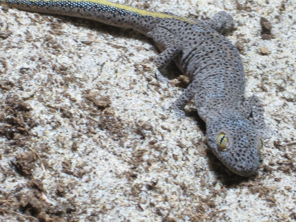 IMG_5401.jpg