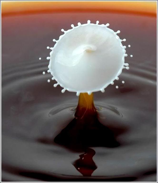 coffee 72?t1237439194