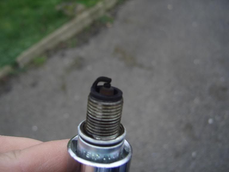 Sparkplug-right-small.jpg