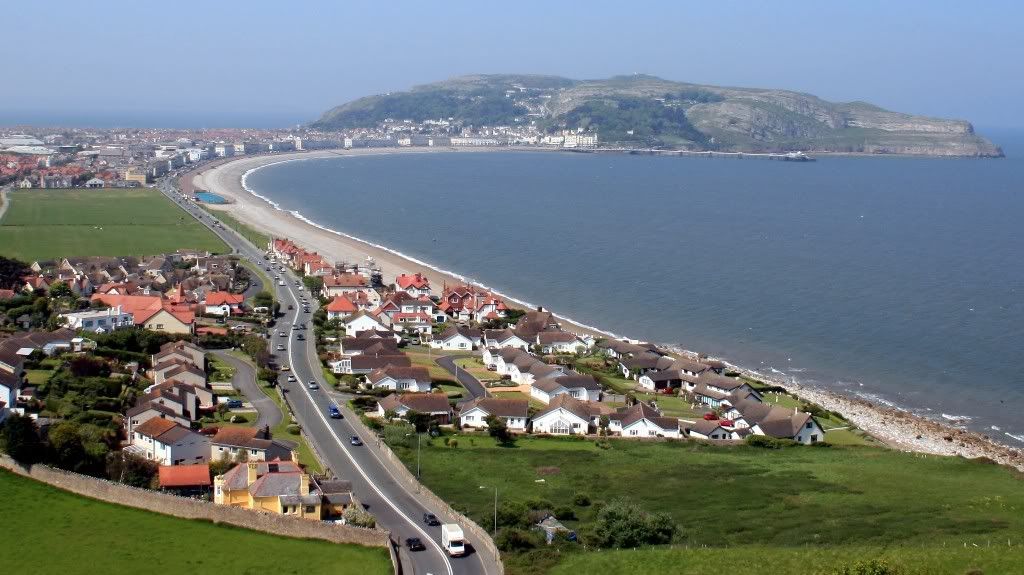 IMAGE: http://i227.photobucket.com/albums/dd21/Motorelvis/Canon%20album%201st%203%20months/littleorme1024x575.jpg