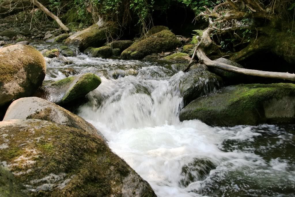 IMAGE: http://i227.photobucket.com/albums/dd21/Motorelvis/Canon%20album%201st%203%20months/stream11024x682.jpg